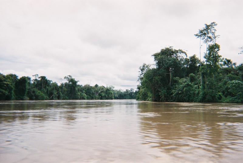 This species was first recorded from the rio Pastaza in Peru.