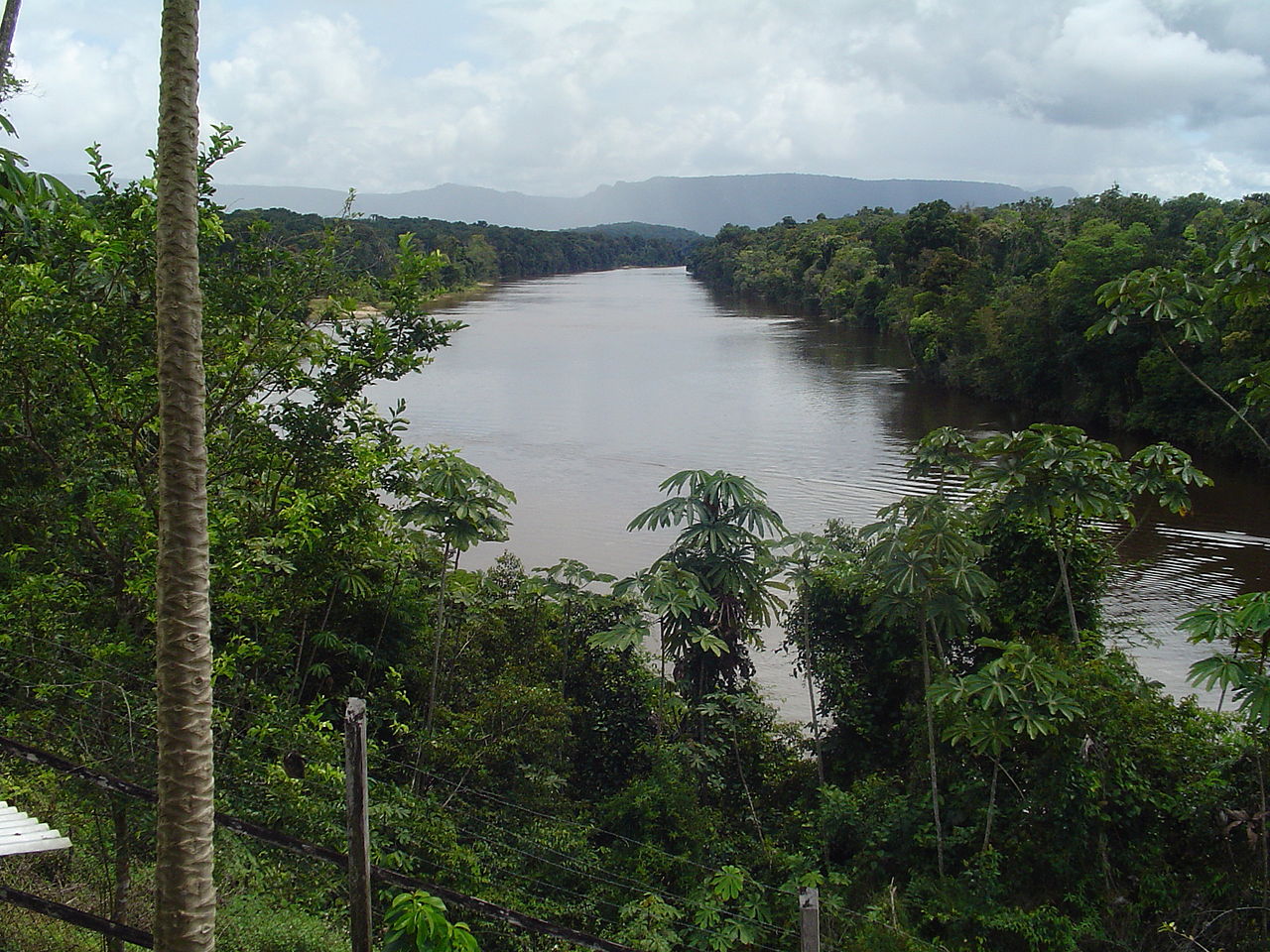 This species is native to the Potaro river system, central Guyana.