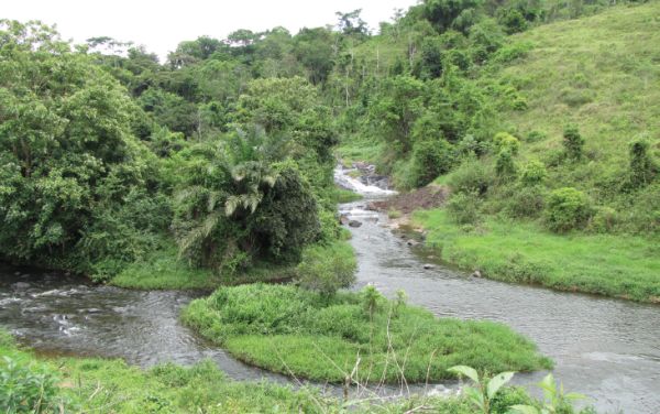 Type locality of Characidium kamakan, Bahia, Camacan, rio Panelão, lower rio Pardo basin