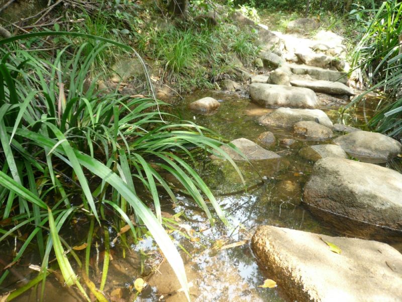 Habitat in the New Territories, Hong Kong.