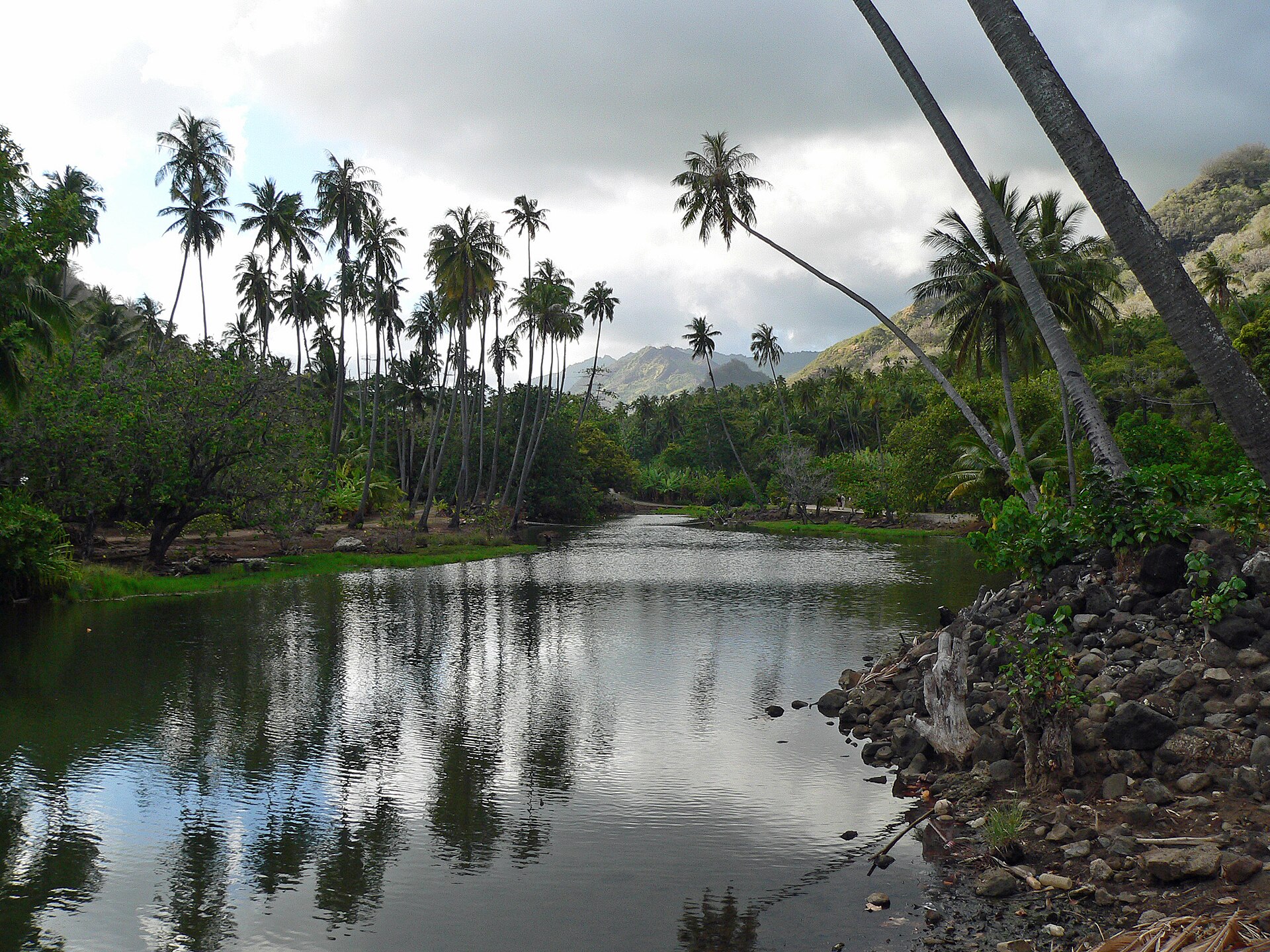 A calm stream reflects tall palms in the Taipivai Valley on Nuku Hiva, Marquesas Islands.
