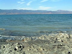 This species is endemic to Lake Burdur, Anatolia, Turkey.