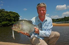 Adult specimen from the Courantyne/Corantijn river system at the border between Suriname and Guyana.