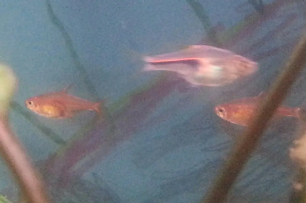 20130902_115132-1.jpg 20130902_115132-1.jpg