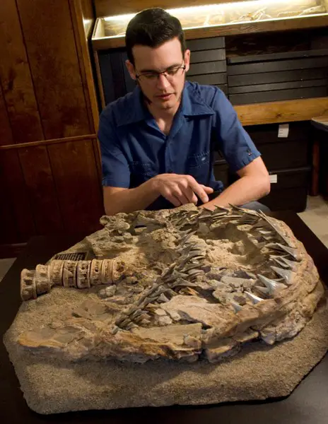 Ehret and fossil