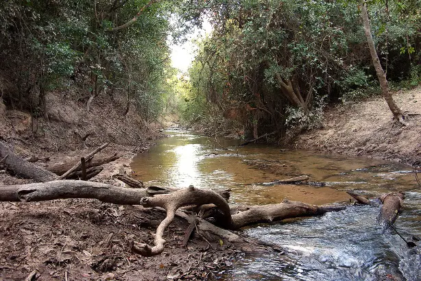 Rio Tocantins 5