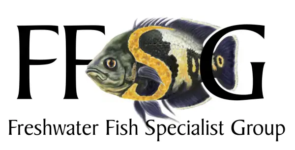 FFSG logo art
