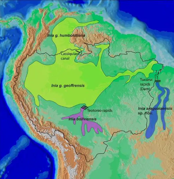 Distribution of the genus Inia in northern South America. © Hrbek et al.